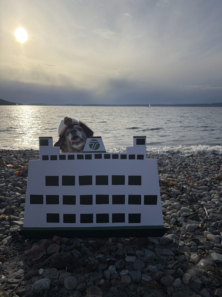 WSDOT ferry dog